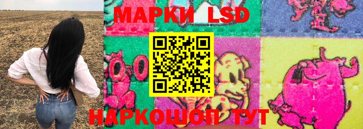 Нефтекумск  Наркотические марки  Вход с VPN  Наркотические марки 1500мкг  Наркотические марки 1500мкг 