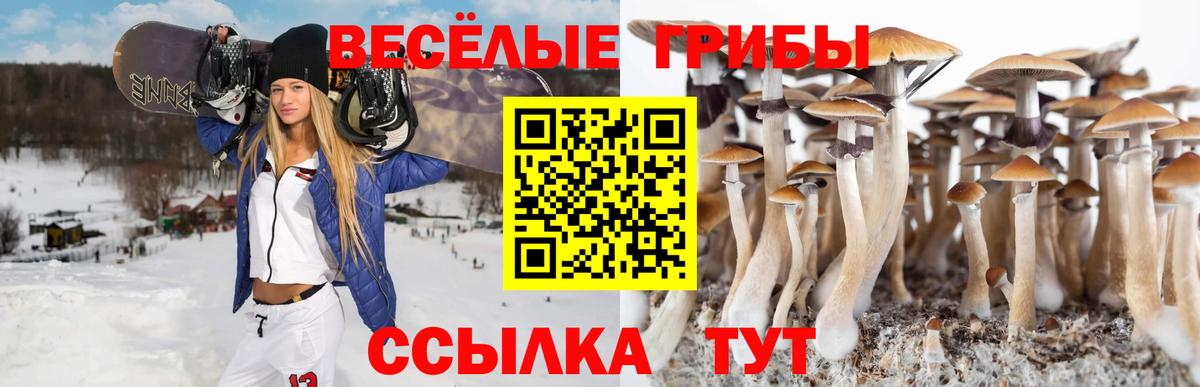 Нефтекумск  Галлюциногенные грибы ЛСД  Вход с VPN 